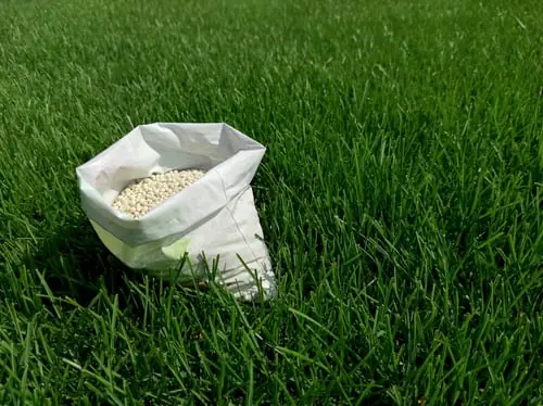 The Fall Seeding and Fertilization Window Most Yards Miss