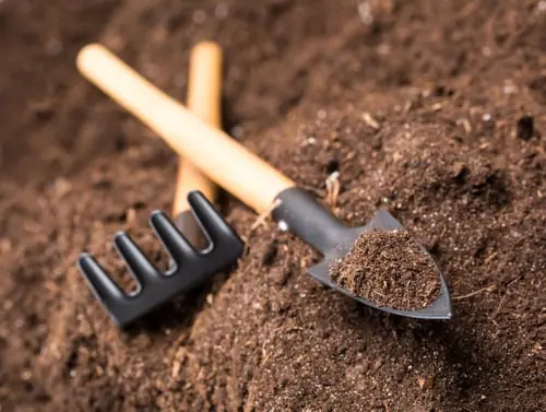 Mulch Depth, Volcano Mulching, and How to Not Kill a Tree