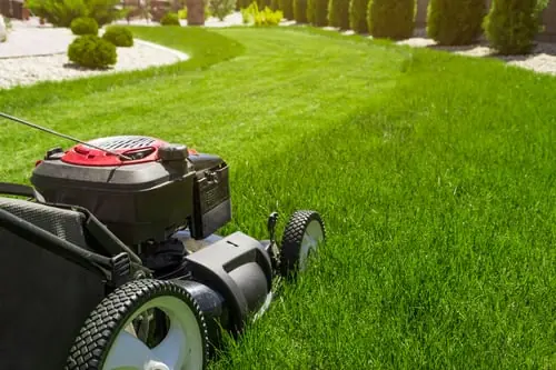 When to Start Mowing in Middle Tennessee, and How Short to Cut