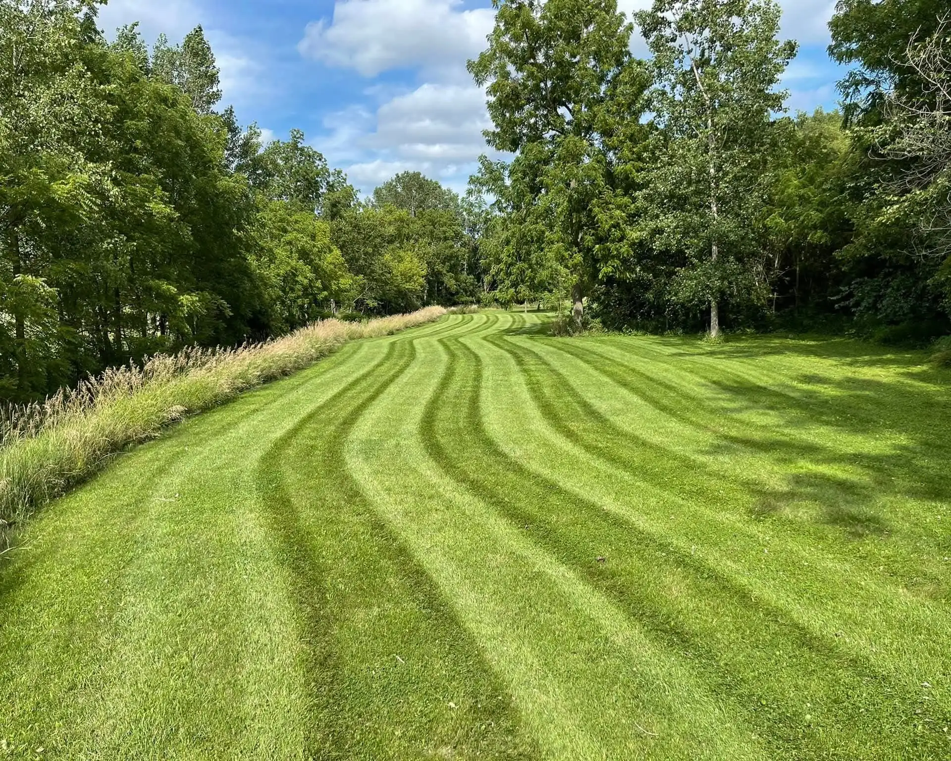 Freshly mowed and striped lawn in Mt. Juliet, Tennessee
