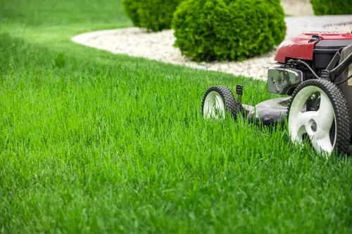 Professional Mowing