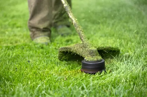Trimming & Edging